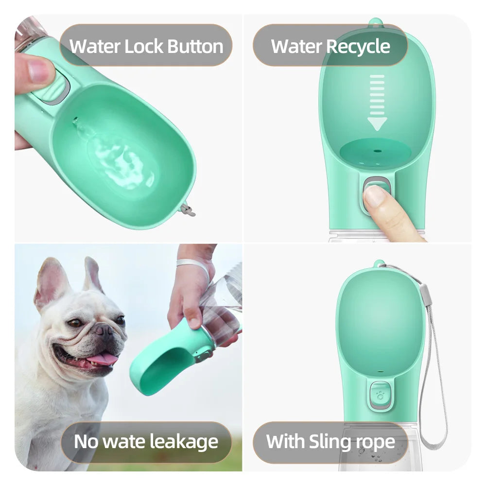 Gourde De Promenade Pour Chien 300ml