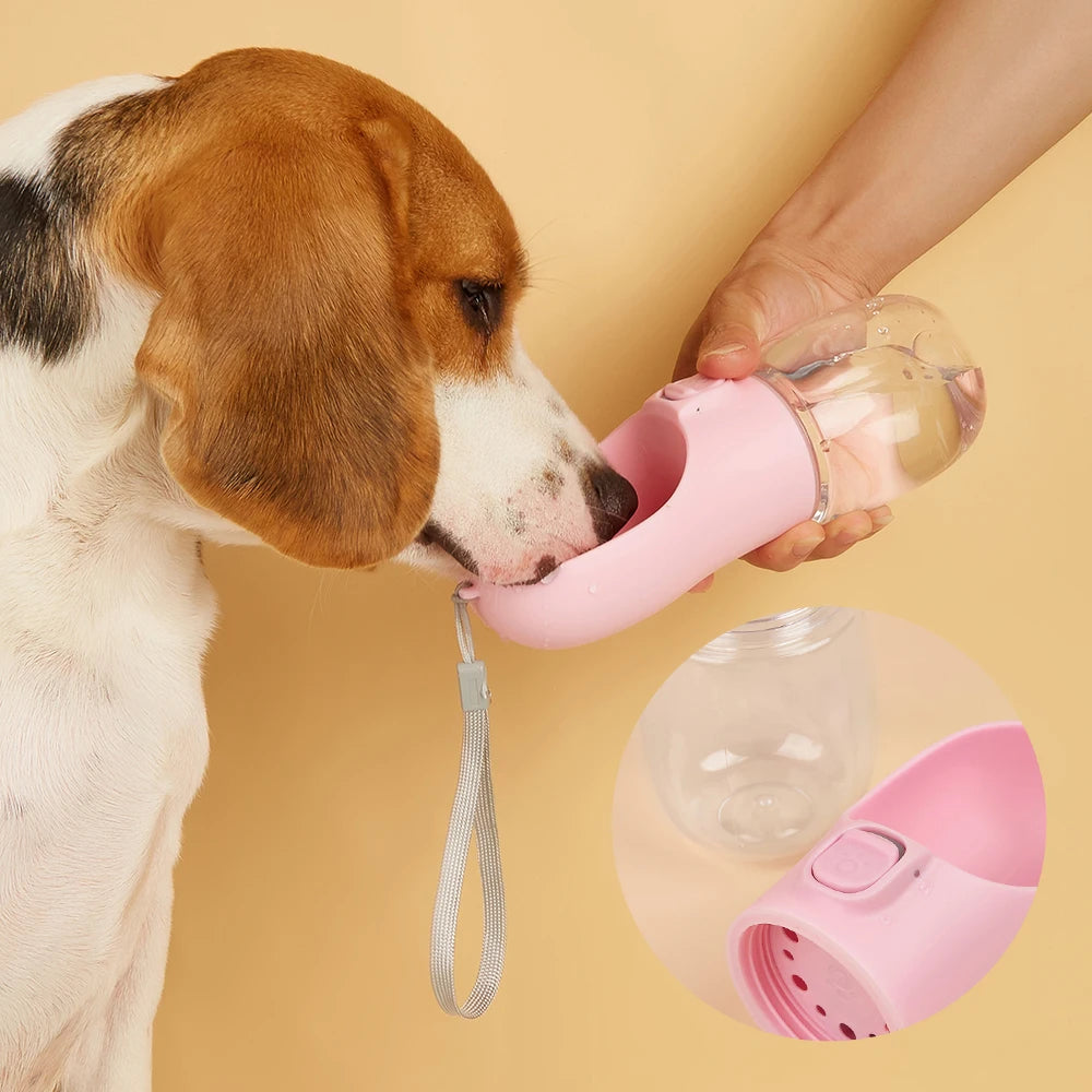 Gourde De Promenade Pour Chien 300ml