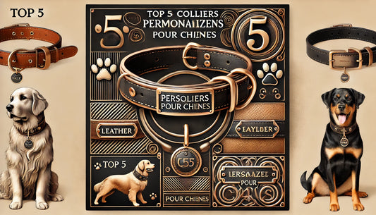 Top 5 des Colliers Personnalisés pour Chiens