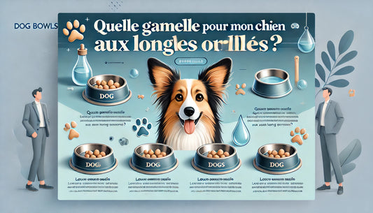 Quelle Gamelle pour Mon Chien aux Longues Oreilles ?