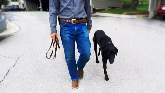 Peut-on promener son chien sans laisse ?