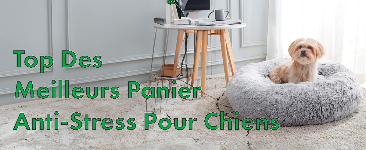 Top des meilleurs paniers anti-stress pour chien