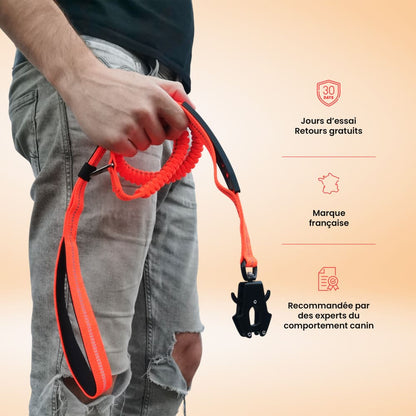 Laisse Anti-Choc NoPull