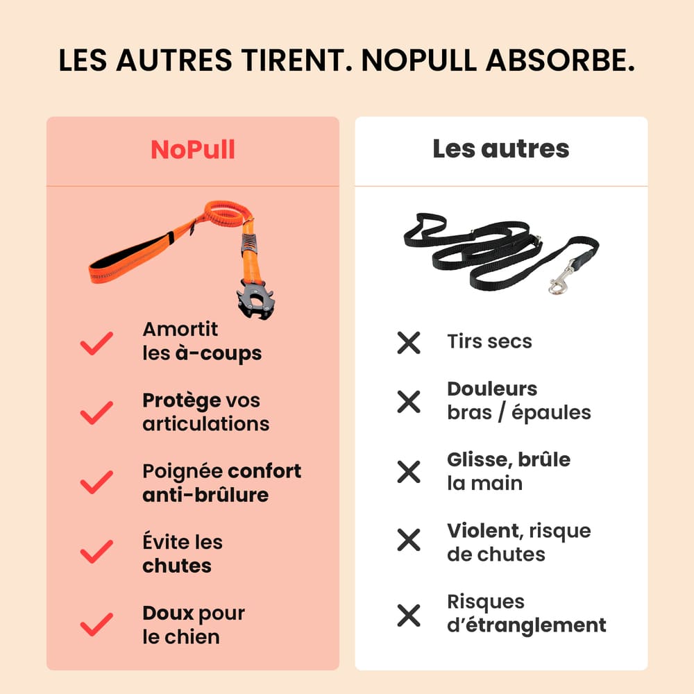 Laisse Anti-Choc NoPull