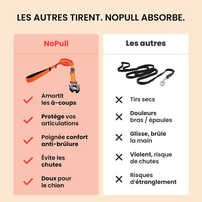 Laisse Anti-Choc NoPull