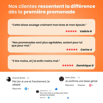 Laisse Anti-Choc NoPull