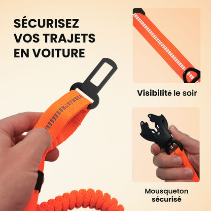 Laisse Anti-Choc NoPull