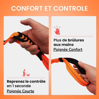 Laisse Anti-Choc NoPull