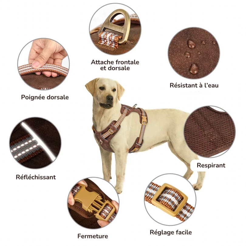 Harnais Élegance Cuir