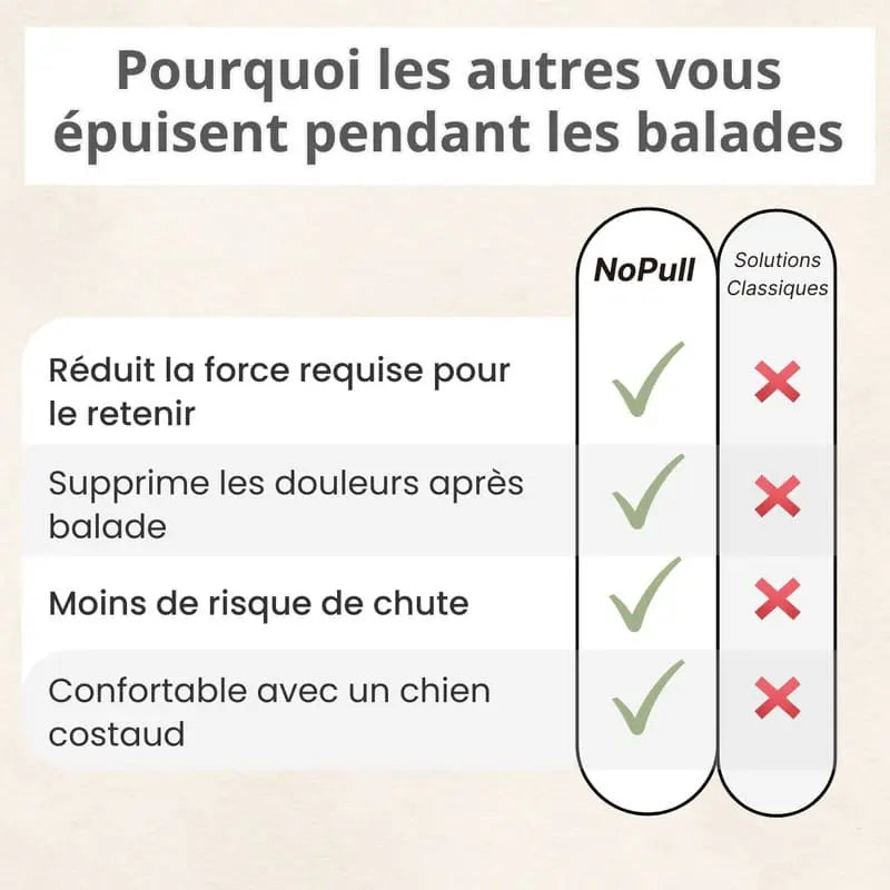 Laisse Amortisseur NoPull