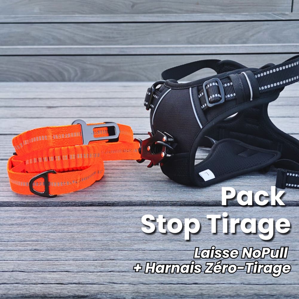 Laisse NoPull bis test