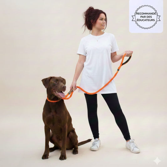 Laisse Amortisseur NoPull