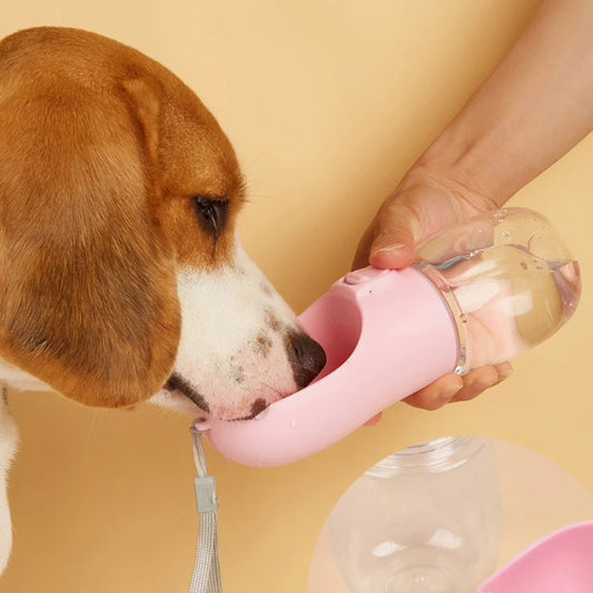 Gourde De Promenade Pour Chien 300ml