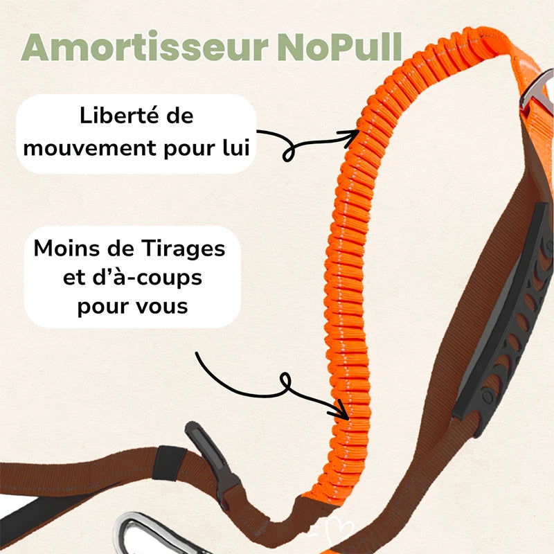 Laisse Amortisseur NoPull