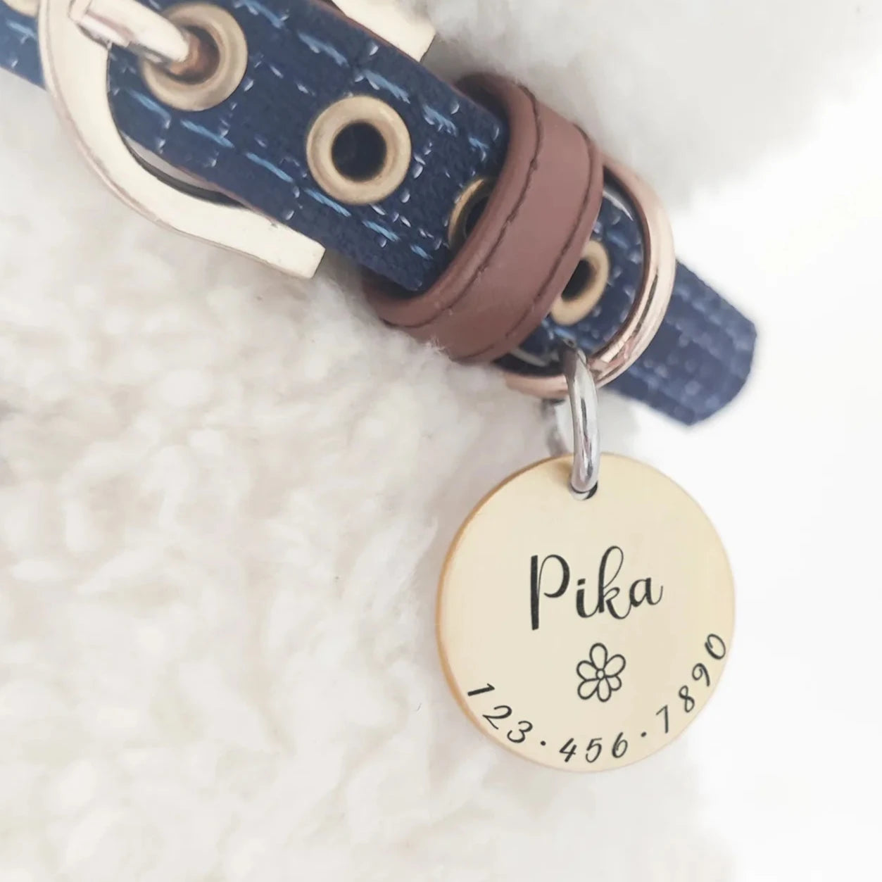 medaille chien personnalisé