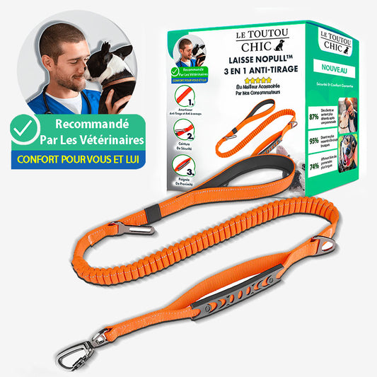 Laisse NoPull Anti-Tirage
