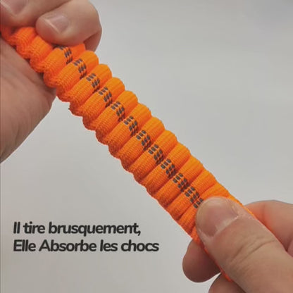Laisse Anti-Choc NoPull