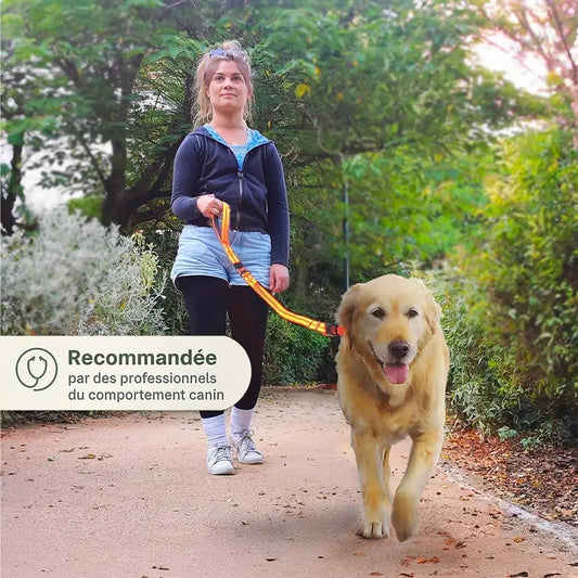 Laisse NoPull - Chien Qui Tire – Balades sans fatigue