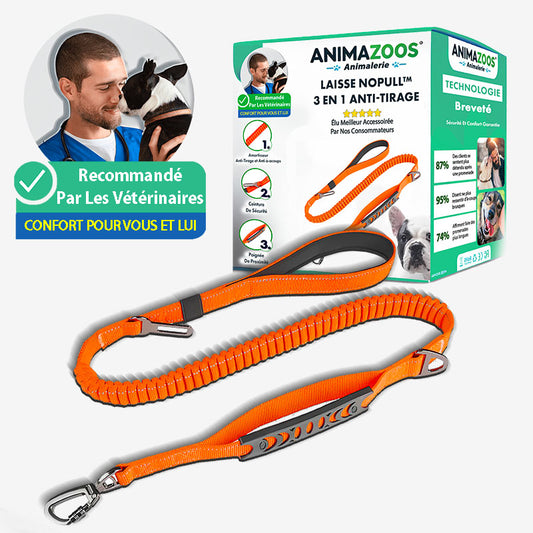 Laisse NoPull Anti-Tirage