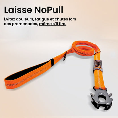 Laisse Anti-Choc NoPull