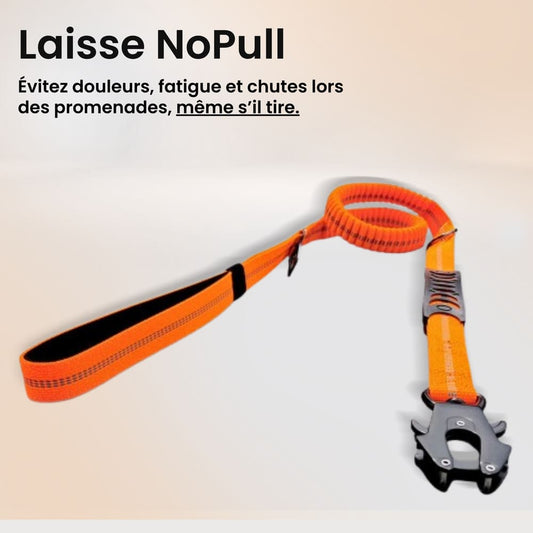 Laisse Amortisseur NoPull